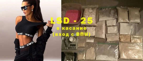 крисы Абаза