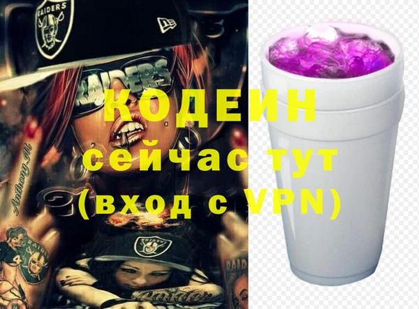 крисы Абаза