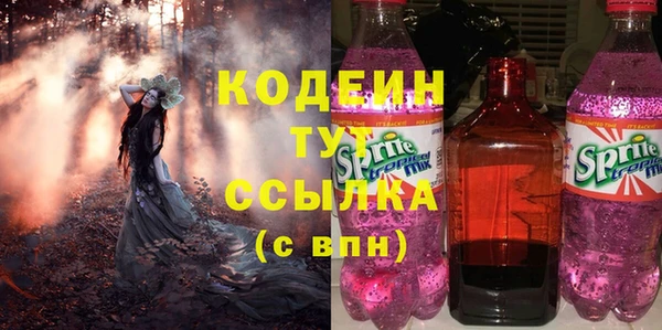 крисы Абаза