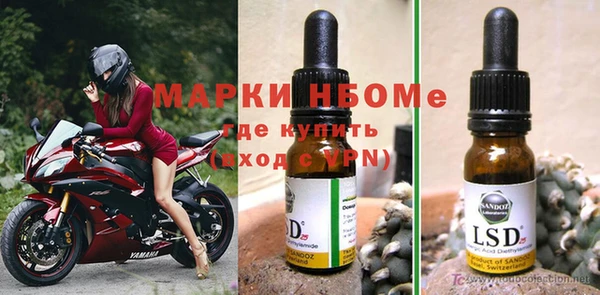 крисы Абаза