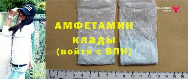 крисы Абаза