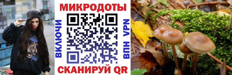где можно купить наркотик  Верхоянск  Псилоцибиновые грибы Psilocybine cubensis 